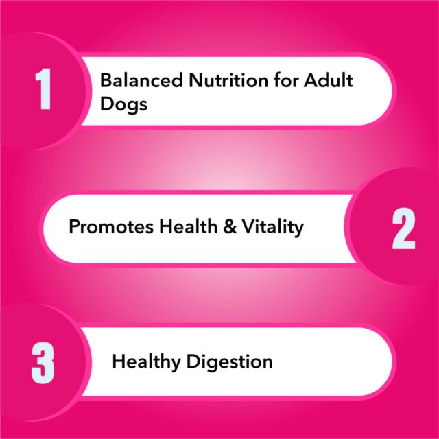 Purepet Adult Chicken and Milk – Complete & Balanced Dog Food, 1kg - Image 2
