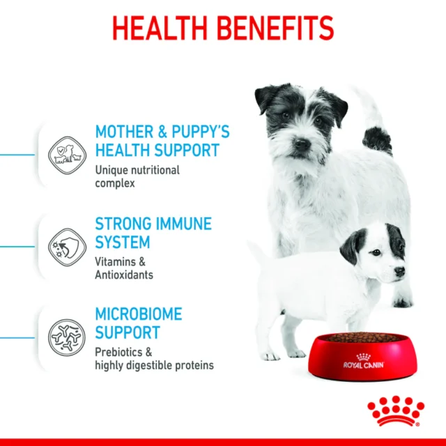 Royal Canin Mini Starter for Small Breed Dogs and Puppies Dry Food (220g | 1kg | 3kg) - Image 4