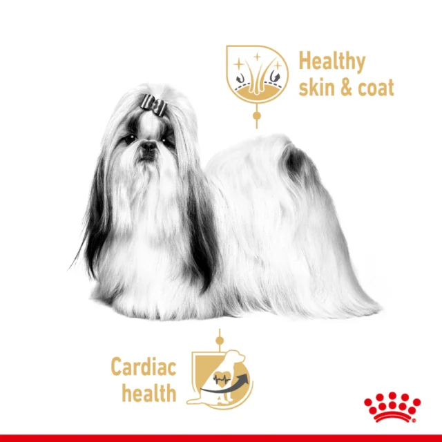 Royal Canin Loaf In Gravy Shih Tzu Adult Dog Wet Food (12x85g) - Image 6