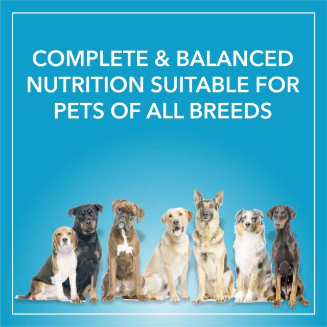 Purepet Chicken & Vegetable Adult Dog Dry Food (1kg | 2.8kg | 7kg | 20kg) - Image 4