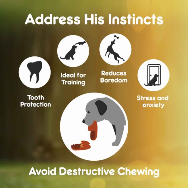 Purepet Pressed Chew Bones Dog Treats (Pack of 4 Bones) - Image 4
