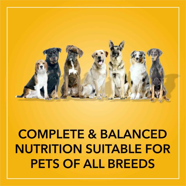 Purepet Adult Smoked Chicken Dry Dog Food – 1 kg - Image 5