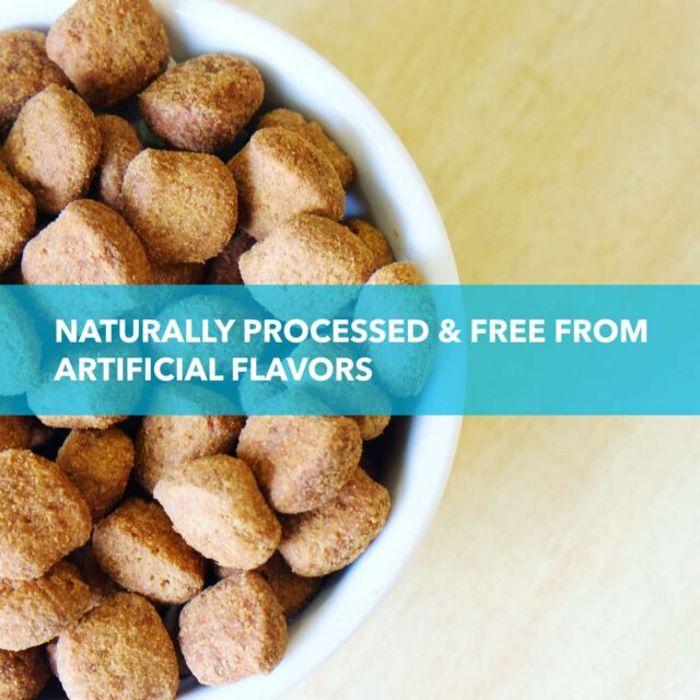 Purepet Chicken & Vegetable Adult Dog Dry Food (1kg | 2.8kg | 7kg | 20kg) - Image 3