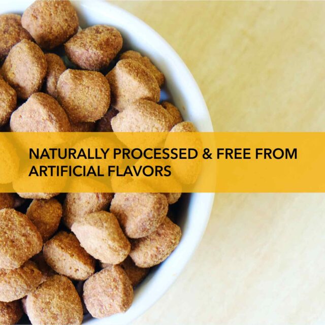 Purepet Adult Smoked Chicken Dry Dog Food – 1 kg - Image 2