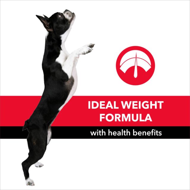 Purepet Meat and Rice Adult Dog Dry Food (2.8kg | 10kg) - Image 5