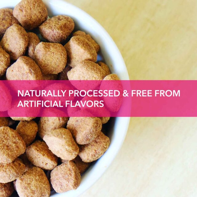 Purepet Adult Chicken and Milk – Complete & Balanced Dog Food, 1kg - Image 5