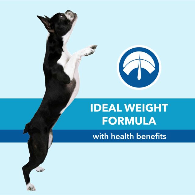 Purepet Chicken & Vegetable Adult Dog Dry Food (1kg | 2.8kg | 7kg | 20kg) - Image 5