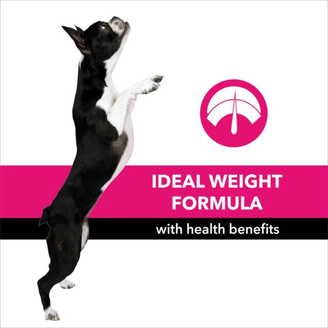 Purepet Adult Chicken and Milk – Complete & Balanced Dog Food, 1kg - Image 4