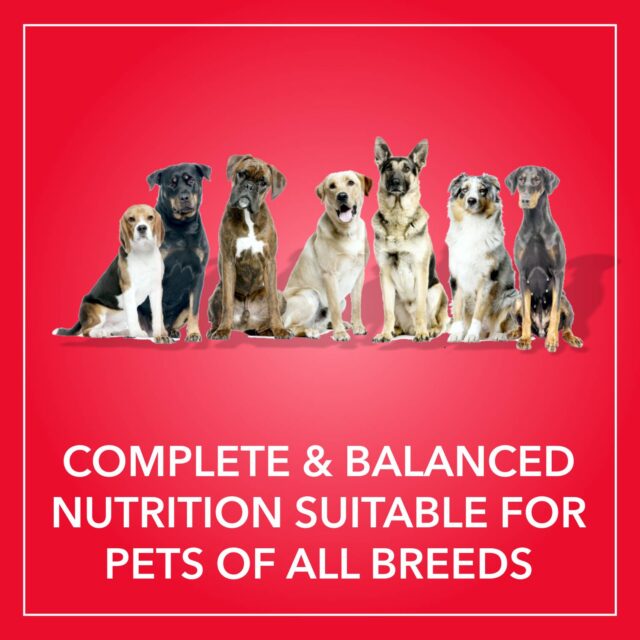 Purepet Meat and Rice Adult Dog Dry Food (2.8kg | 10kg) - Image 4
