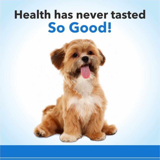 Purepet Chicken Flavor Munchy Sticks Dog Treats - 400 g - Image 5