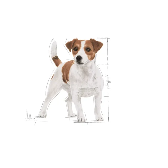 Royal Canin Mini Adult Gravy Dog Wet Food (12x85g) - Image 9