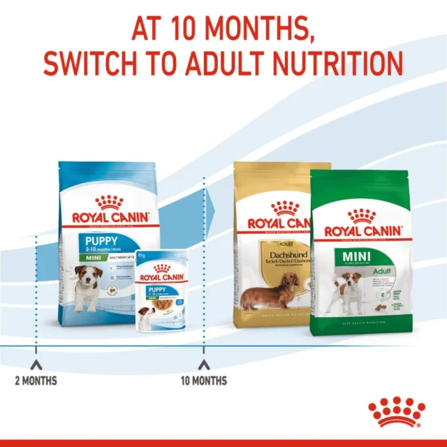 Royal Canin Mini Puppy Dog Dry Food – For Small Breed Puppies (4kg | 8kg) - Image 10