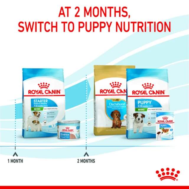 Royal Canin Mini Starter for Small Breed Dogs and Puppies Dry Food (220g | 1kg | 3kg) - Image 8