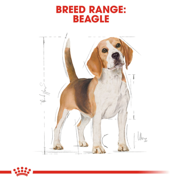 Royal Canin Beagle Adult Dog Dry Food (3kg | 12kg) - Image 7