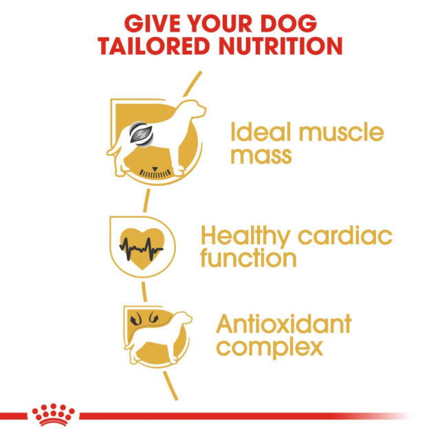 Royal Canin Boxer Adult Dog Dry Food (3kg | 12kg) - Image 4