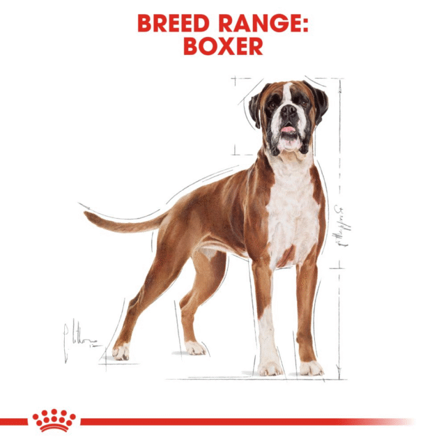 Royal Canin Boxer Adult Dog Dry Food (3kg | 12kg) - Image 7