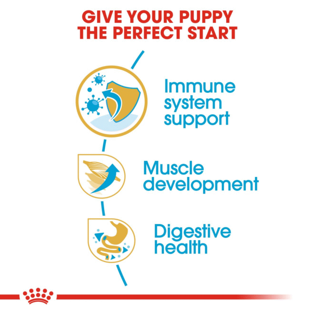 Royal Canin Boxer Puppy Dog Dry Food (1kg | 3kg | 12kg) - Image 4
