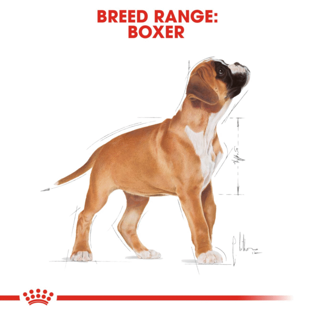 Royal Canin Boxer Puppy Dog Dry Food (1kg | 3kg | 12kg) - Image 8