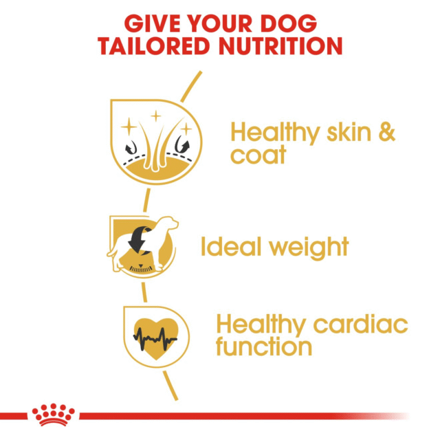 Royal Canin Cocker Spaniel Adult Dog Dry Food - 3kg - Image 4