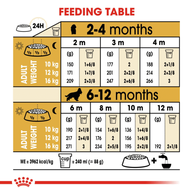 Royal Canin Cocker Spaniel Puppy Dog Dry Food - 3kg - Image 7