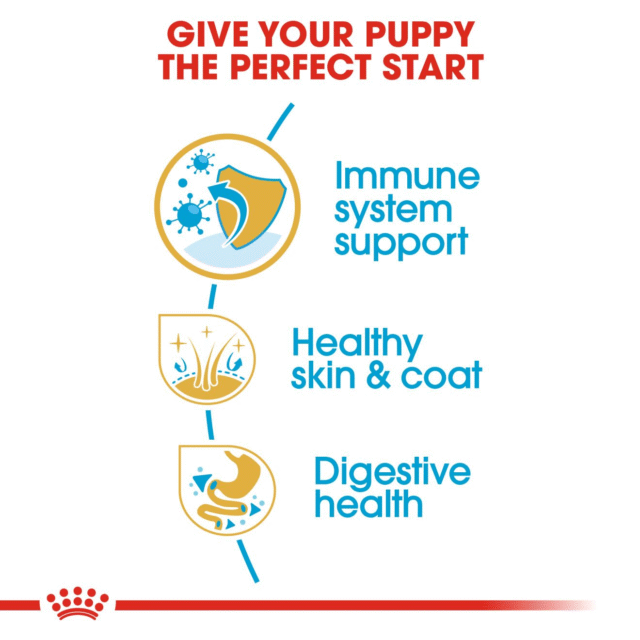 Royal Canin Cocker Spaniel Puppy Dog Dry Food - 3kg - Image 4