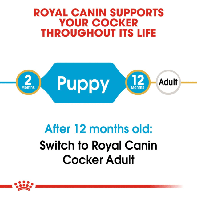 Royal Canin Cocker Spaniel Puppy Dog Dry Food - 3kg - Image 5