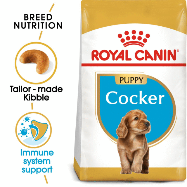 Royal Canin Cocker Spaniel Puppy Dog Dry Food - 3kg - Image 2