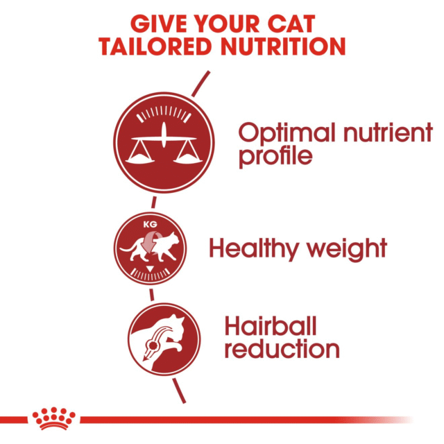 Royal Canin Fit 32 Adult Cat Dry Food (400g | 1kg | 2kg) - Image 4