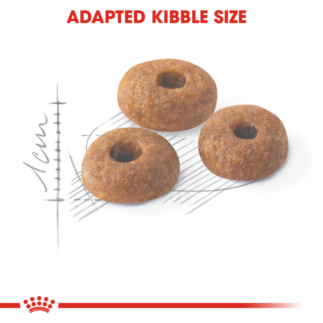 Royal Canin Fit 32 Adult Cat Dry Food (400g | 1kg | 2kg) - Image 3