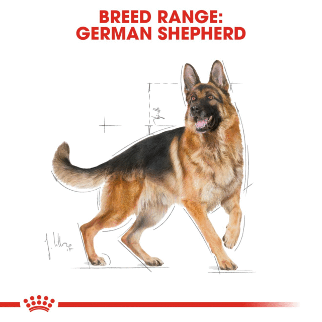 Royal Canin German Shepherd Adult Dog Dry Food (3kg | 11kg) - Image 7