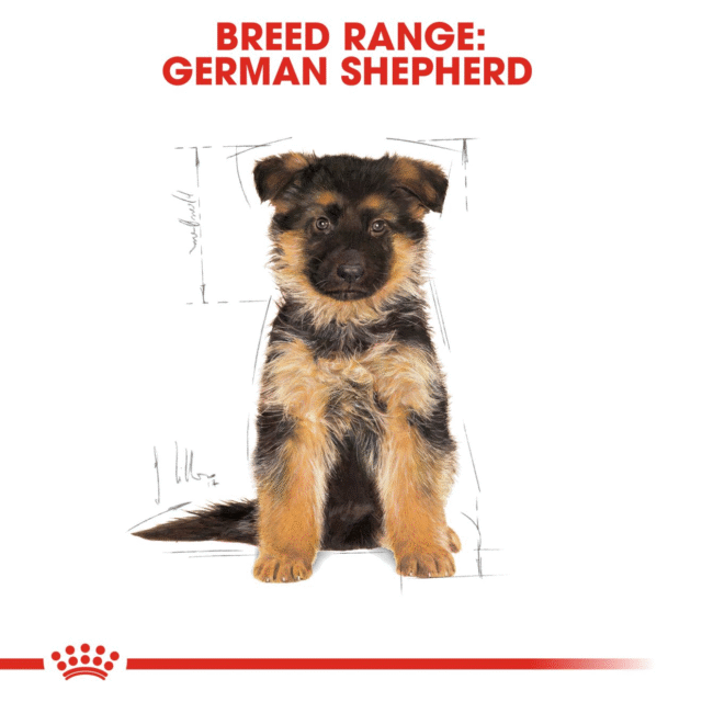 Royal Canin German Shepherd Puppy Dog Dry Food (1kg | 3kg | 12kg) - Image 8
