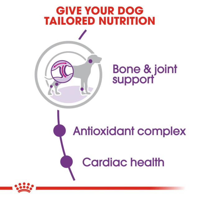 Royal Canin Giant Adult Dog Dry Food (4kg | 15kg) - Image 4
