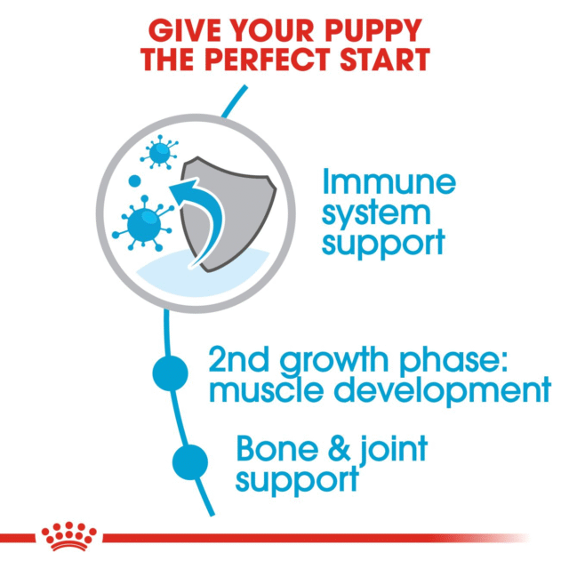 Royal Canin Giant Junior Dog Dry Food (3.5kg | 15kg) - Image 4