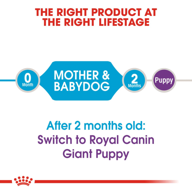 Royal Canin Giant Starter Dog Dry Food (1kg | 3.5kg | 15kg) - Image 5
