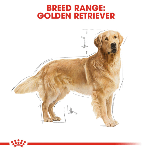 Royal Canin Golden Retriever Adult Dog Dry Food (3kg | 12kg) - Image 7