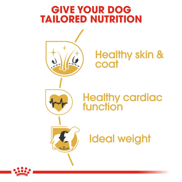 Royal Canin Golden Retriever Adult Dog Dry Food (3kg | 12kg) - Image 4