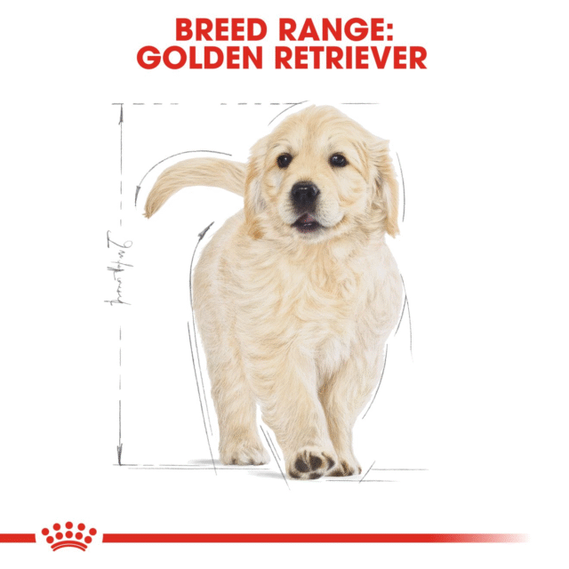 Royal Canin Golden Retriever Puppy Dog Dry Food (1kg | 3kg | 12kg) - Image 8