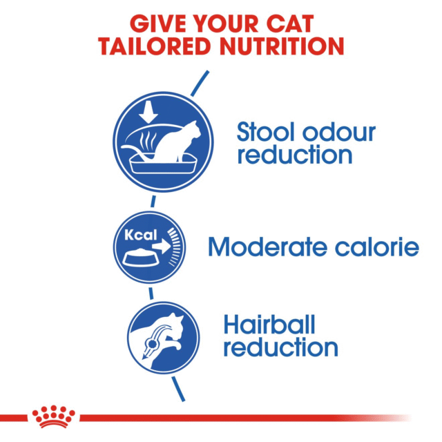 Royal Canin Indoor Adult Cat Dry Food (400g | 2kg) - Image 4