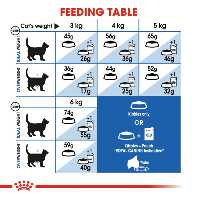 Royal Canin Indoor Adult Cat Dry Food (400g | 2kg) - Image 7