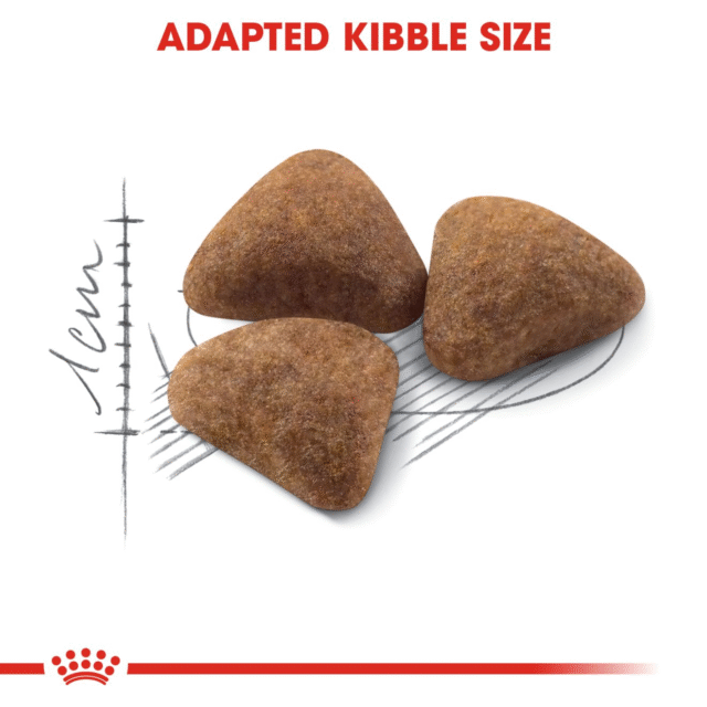 Royal Canin Indoor Adult Cat Dry Food (400g | 2kg) - Image 3