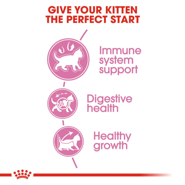 Royal Canin Kitten Cat Dry Food (400g | 1.2kg | 2kg | 4kg) - Image 4