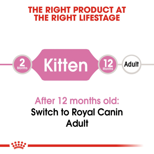 Royal Canin Kitten Cat Dry Food (400g | 1.2kg | 2kg | 4kg) - Image 5