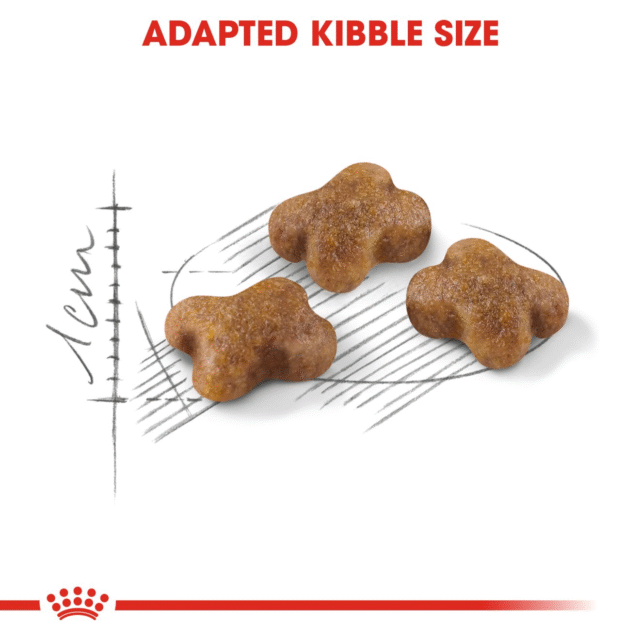 Royal Canin Kitten Cat Dry Food (400g | 1.2kg | 2kg | 4kg) - Image 3