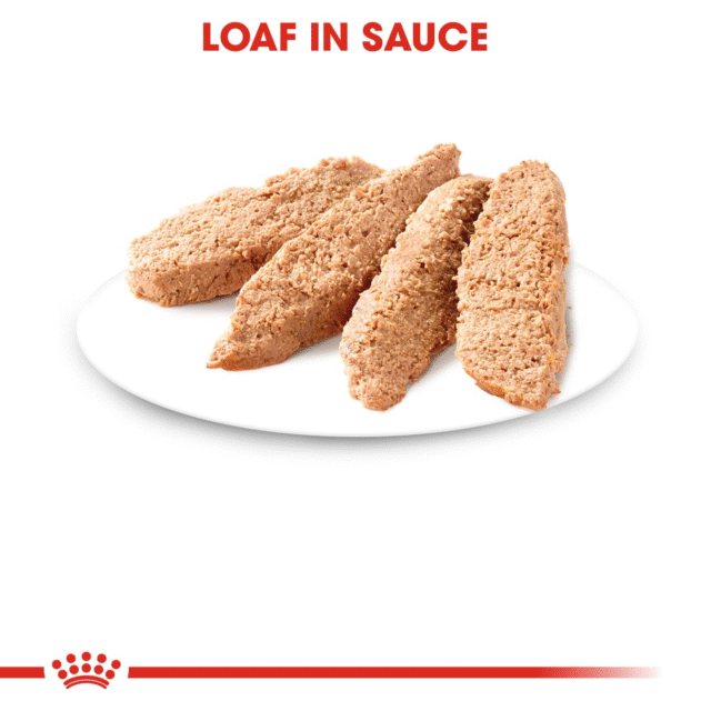 Royal Canin Kitten Instinctive Loaf Cat Wet Food (12x85g) - Image 3