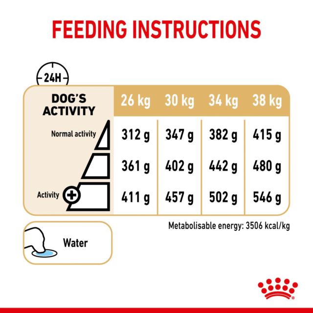 Royal Canin Labrador Retriever Adult 5+ Dog Dry Food - 3kg - Image 5