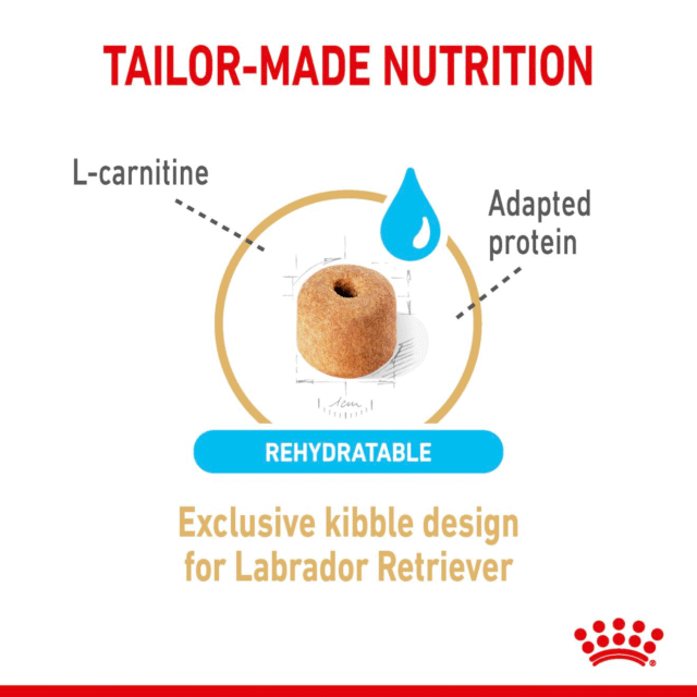 Royal Canin Labrador Retriever Adult 5+ Dog Dry Food - 3kg - Image 2