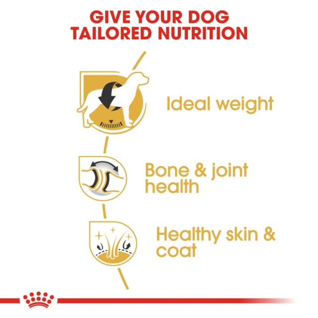 Royal Canin Labrador Retriever Adult Dog Dry Food (3kg | 12kg) - Image 4