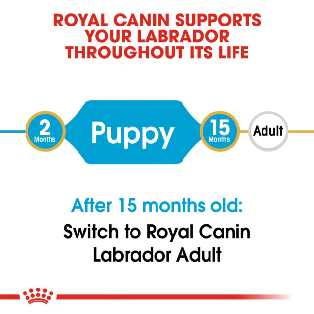 Royal Canin Labrador Retriever Puppy Dog Dry Food (200g | 1kg | 3kg | 12kg) - Image 5