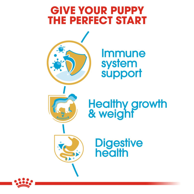 Royal Canin Labrador Retriever Puppy Dog Dry Food (200g | 1kg | 3kg | 12kg) - Image 4