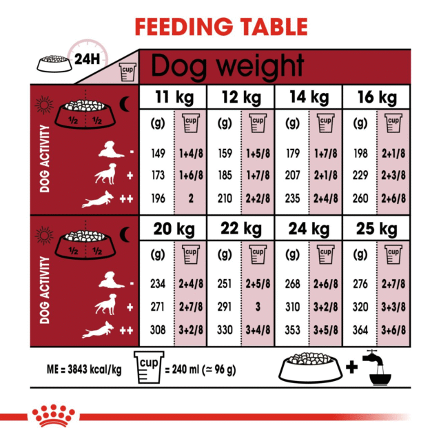 Royal Canin Medium Adult Dog Dry Food (1kg | 4kg | 10kg | 15kg) - Image 7